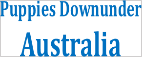 Puppies Down Under